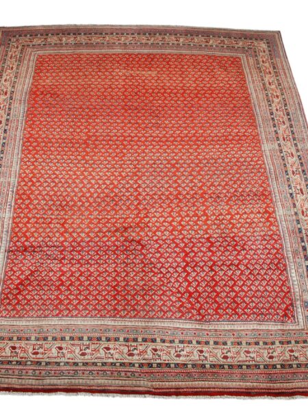 Rug Authentic Sarok 310x220 cm |
