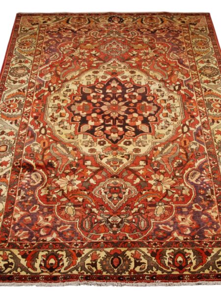 Rug Authentic Baktiar 325x217 cm |