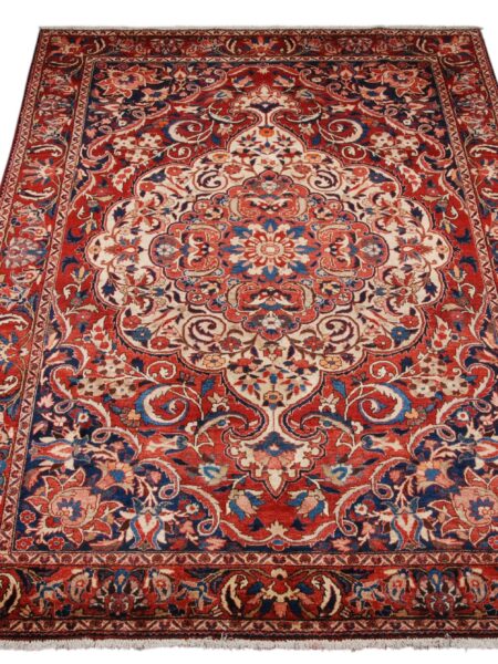 Rug Authentic Baktiar 310x210 cm |