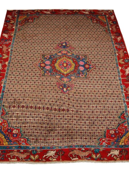 Rug Authentic Goltugh 305x205 cm |