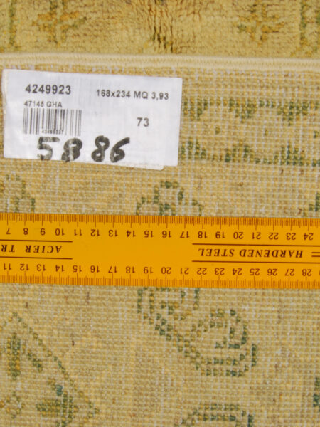 Rug Afgani Pakistan Carpet Rug Teppich Alfombra Rug Ghazni 234x168 cm
