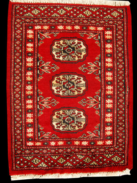 Kashmir Wool Carpet cm 65x50 Pakistan Rugs