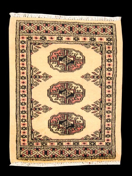 Kashmir Wool Carpet cm 60x45 Pakistan Rugs